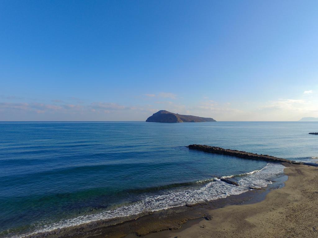 Alexia Beach Hotel Agia Marina Dış mekan fotoğraf